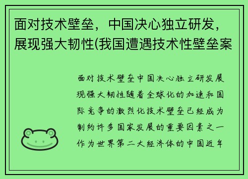 面对技术壁垒，中国决心独立研发，展现强大韧性(我国遭遇技术性壁垒案例)